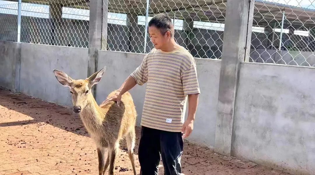澳门新普京网址