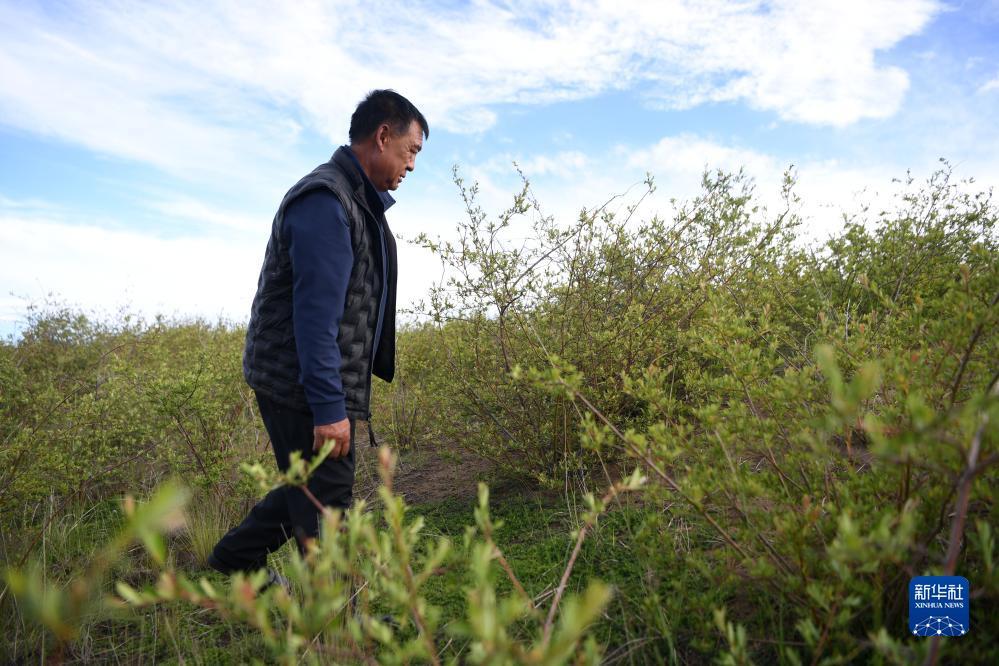 捕鱼游戏电脑版在线挣钱